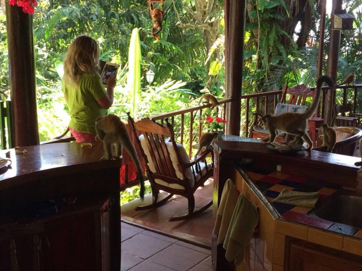 Hotel Manuel Antonio Park House - Adults Only Exterior foto