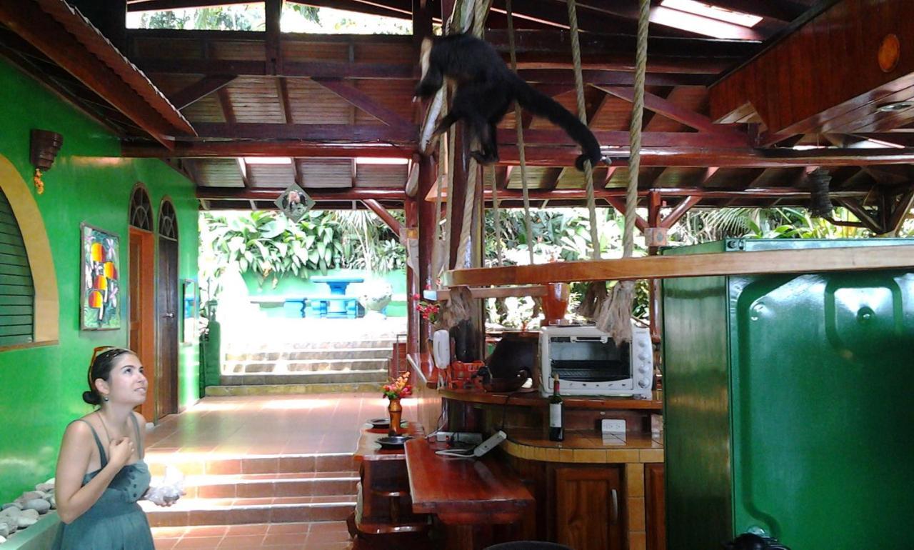 Hotel Manuel Antonio Park House - Adults Only Exterior foto