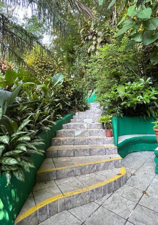 Hotel Manuel Antonio Park House - Adults Only Exterior foto