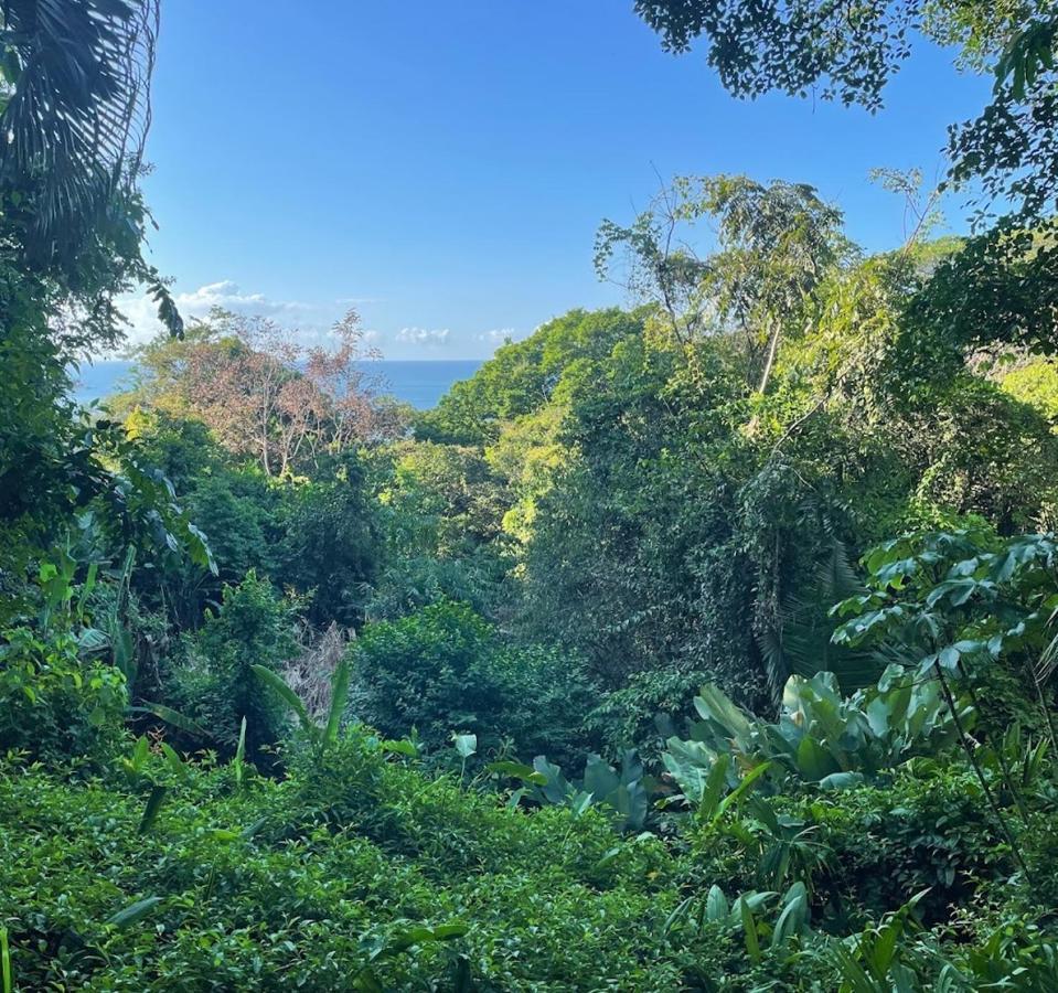 Hotel Manuel Antonio Park House - Adults Only Exterior foto