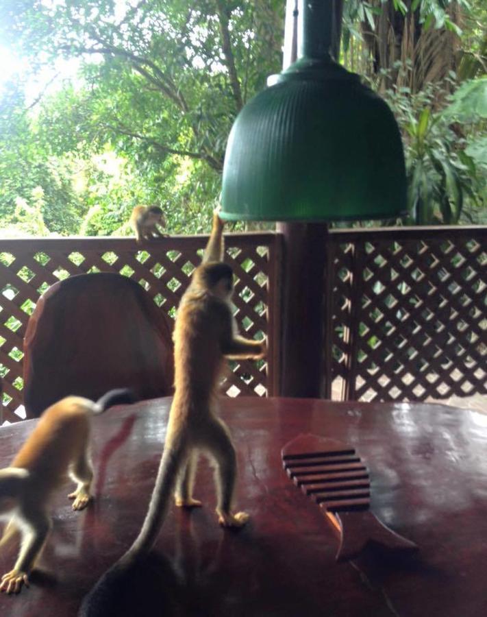 Hotel Manuel Antonio Park House - Adults Only Exterior foto